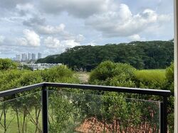 Holland Link (D10), Terrace #461060961